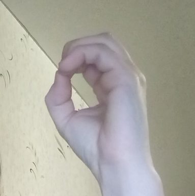 Hand holding pose: reference photo 8 by HaGRID v2