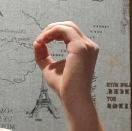 Hand holding pose: reference photo 6 by HaGRID v2