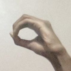 Hand holding pose: reference photo 10 by HaGRID v2