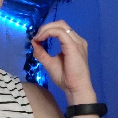 Hand holding pose: reference photo 1 by HaGRID v2