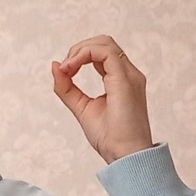 Hand holding pose: reference photo 11 by HaGRID v2