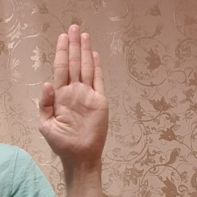 Open hand palm angle: reference photo 12 by HaGRID