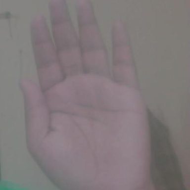 Open hand palm angle: reference photo 10 by HaGRID