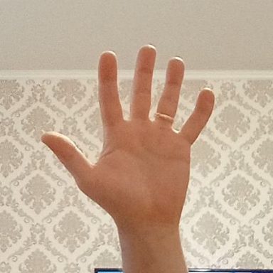 Open hand palm angle: reference photo 1 by HaGRID