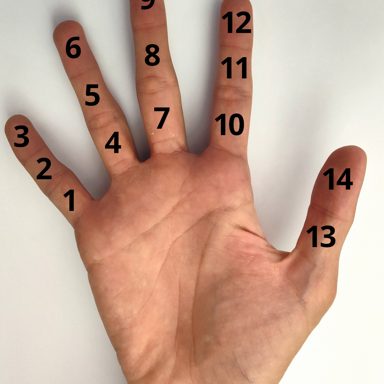 Open hand palm angle: reference photo 5 by Justinkunimune · CC0
