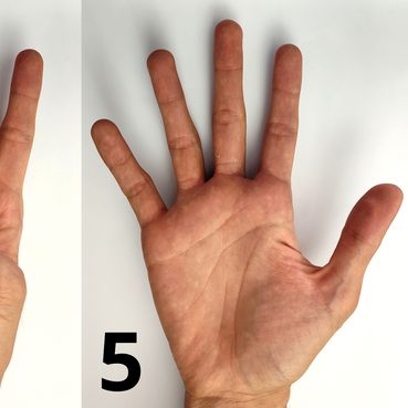 Open hand palm angle: reference photo 3 by Justinkunimune · CC0